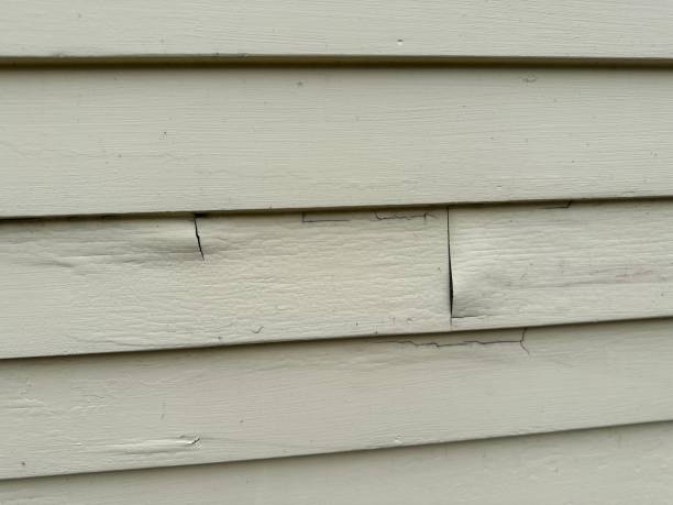 Best Storm Damage Siding Repair  in Balfour, NC